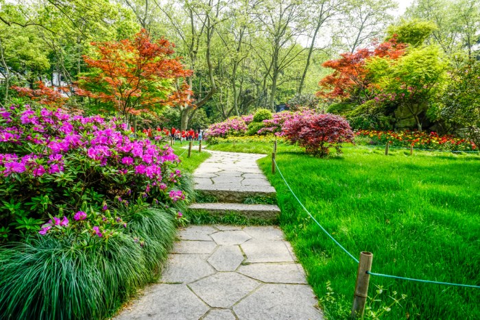 Zrównoważony ogród – wykorzystanie roślin i materiałów ekologicznych
